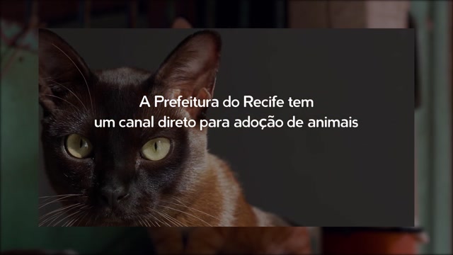 Clique para reproduzir o vídeo