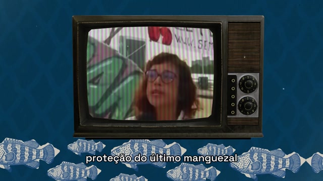 Clique para reproduzir o vídeo